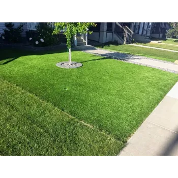 Natural Artificial grass
