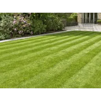 Organic Artificial grass