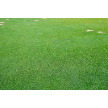 Artificial Lawn Grass