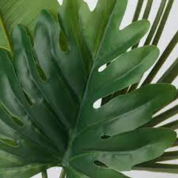 Green Artificial Leaf