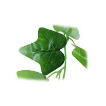 Green  Artificial Leaf