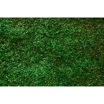 Organic  Artificial Leaf