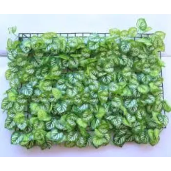 natural Artificial Leaf