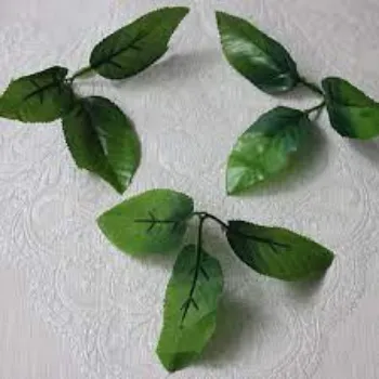 Modern Artificial Leaf