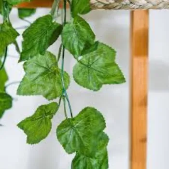 Artificial Leaf