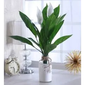Organic  Artificial Plants