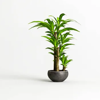 Artificial Plants