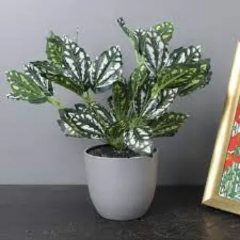 Fancy  Artificial Plants