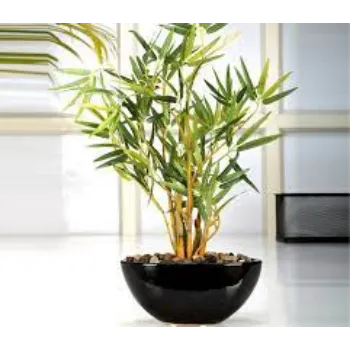 Artificial Plants