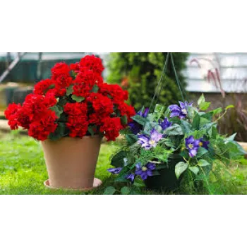 PP Artificial Plants