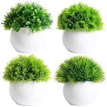 Coated Plastic Artificial Plants