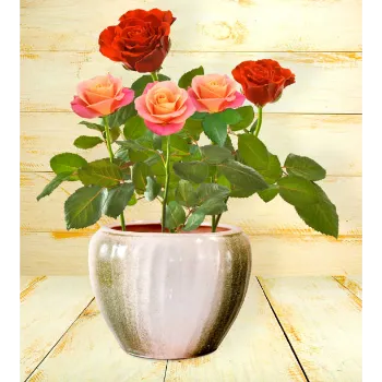 Artificial Rose