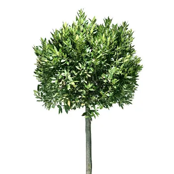  Artificial Trees