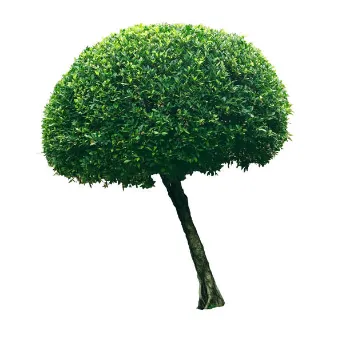   Artificial Trees