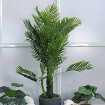 Plastic Artificial Trees