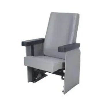 Modern Auditorium Chair