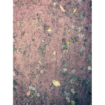 Coated Autumn Brown Sandstone