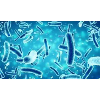 Natural Bacillus Subtilis