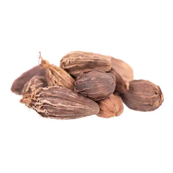 Common  Badi Elaichi