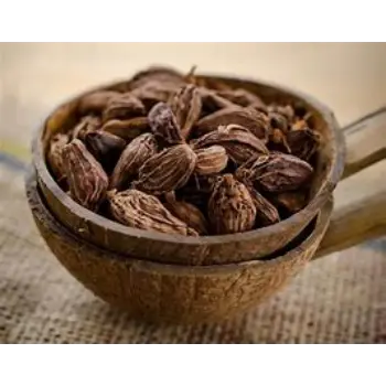 common Badi Elaichi