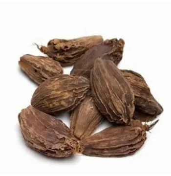 Fresh Badi Elaichi