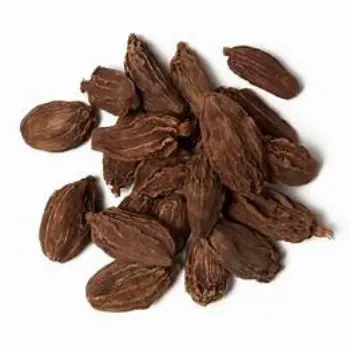 fresh Badi Elaichi