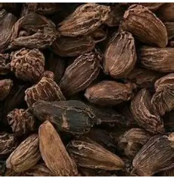 Organic Badi Elaichi
