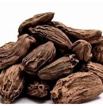 Fresh Badi Elaichi
