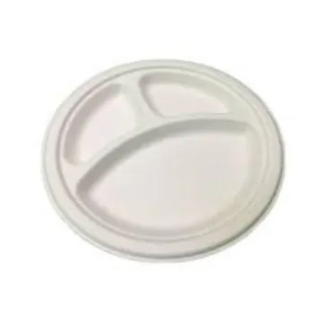  Bagasse Disposable Plate