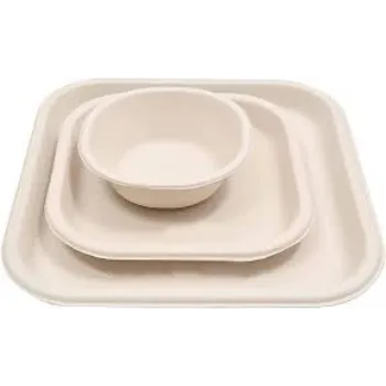  Bagasse Disposable Plate
