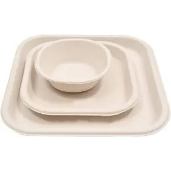  Bagasse Disposable Plate