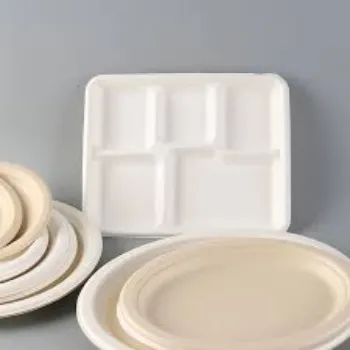 Bagasse Disposable Plate