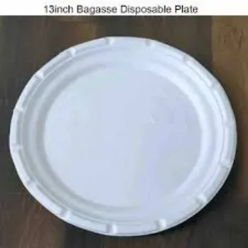  Bagasse Disposable Plate