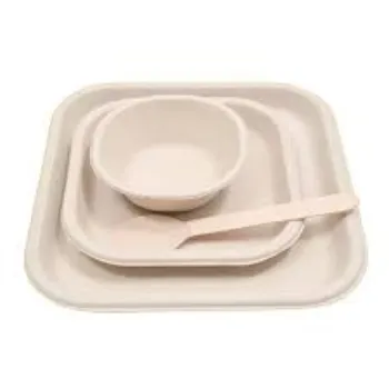  Bagasse Disposable Plate