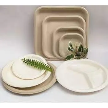  Bagasse Disposable Plate