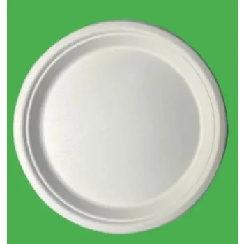  Bagasse Disposable Plate