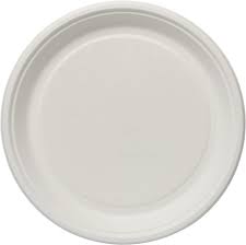  Bagasse Disposable Plate
