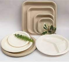  Non Polished Bagasse Disposable Plate
