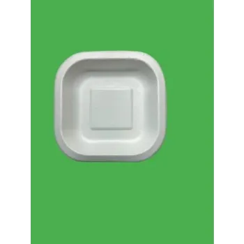  Bagasse Disposable Plate