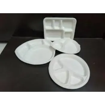  Bagasse Disposable Plate