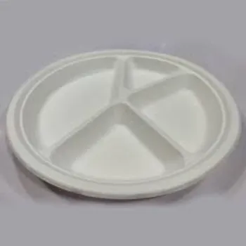  Bagasse Disposable Plate