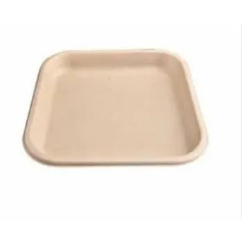 Bagasse Disposable Plate