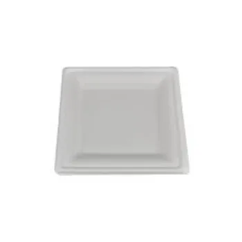 Bagasse Disposable Plate