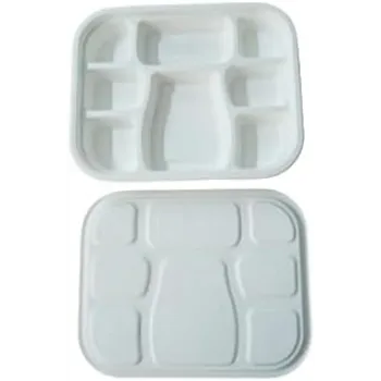 white Bagasse Disposable Plate