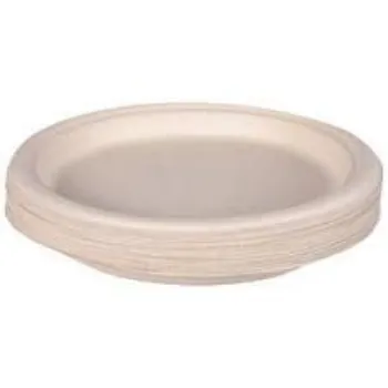  Bagasse Disposable Plate