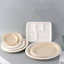  Good Quality Bagasse Disposable Plate