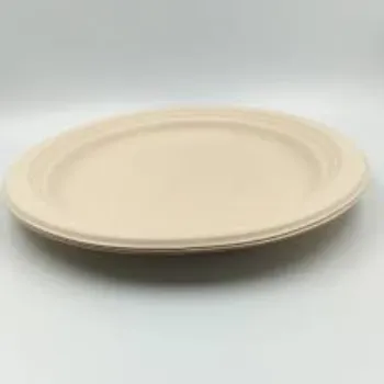 Bagasse Disposable Plate