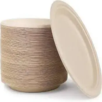 Hard Structure Bagasse Disposable Plate