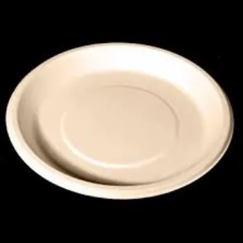 Custom Design Bagasse Disposable Plate