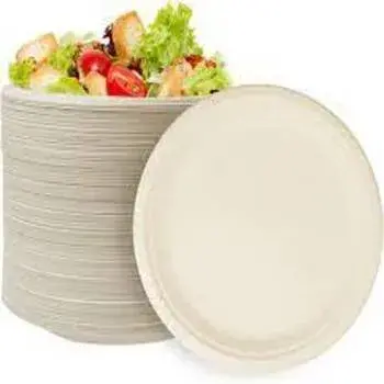 Bagasse Disposable Plate